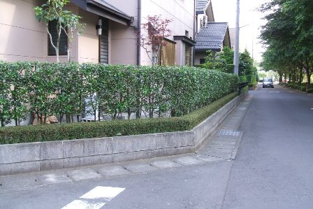 ご存知ですか？新潟市で生垣を新設する方に助成金が出ます。