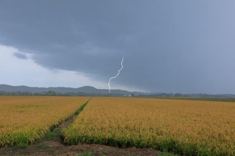 雨　雷　イメージ